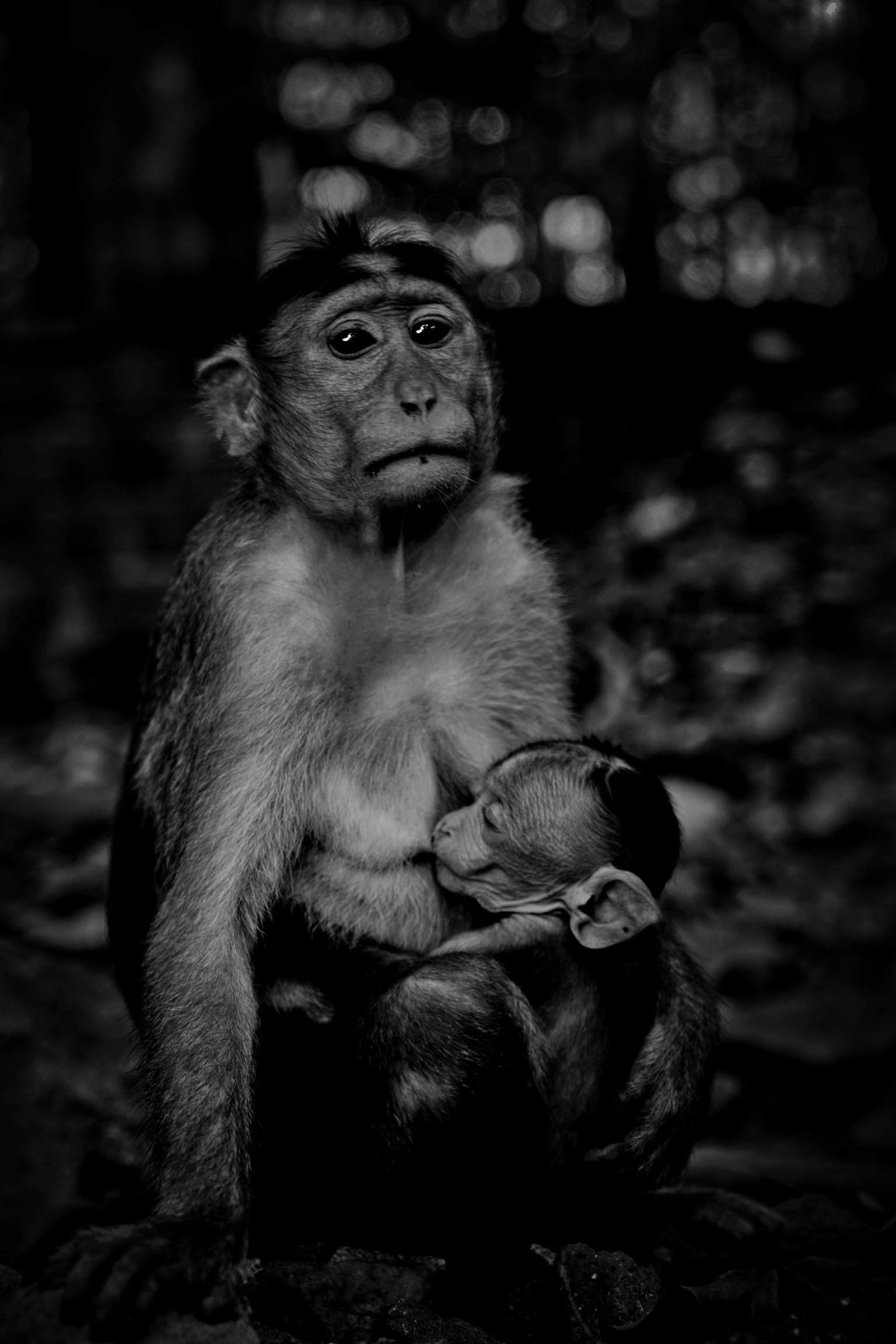 Elephanta Caves母爱